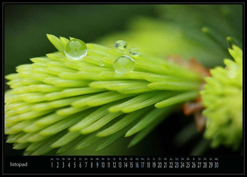 zav��t obr�zek